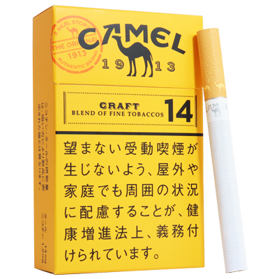 有名なブランド CAMEL キャメル マウンテンパーカ タバコ ジャケット